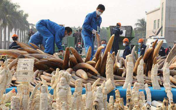 China imposes ivory import ban to evaluate its effects over 1 year