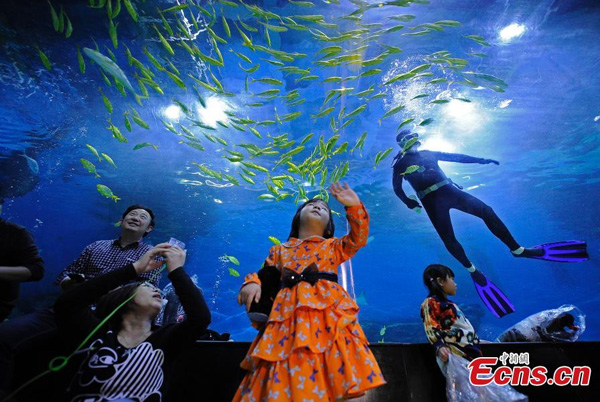 Sleep with fish at Tianjin aquarium