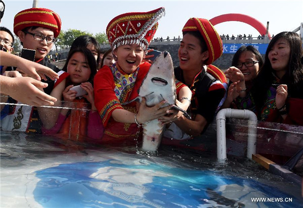 3,000 Chinese sturgeons released into Yangtze River