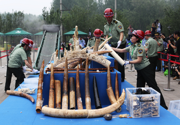 China destroys 662 kg of illegal ivory