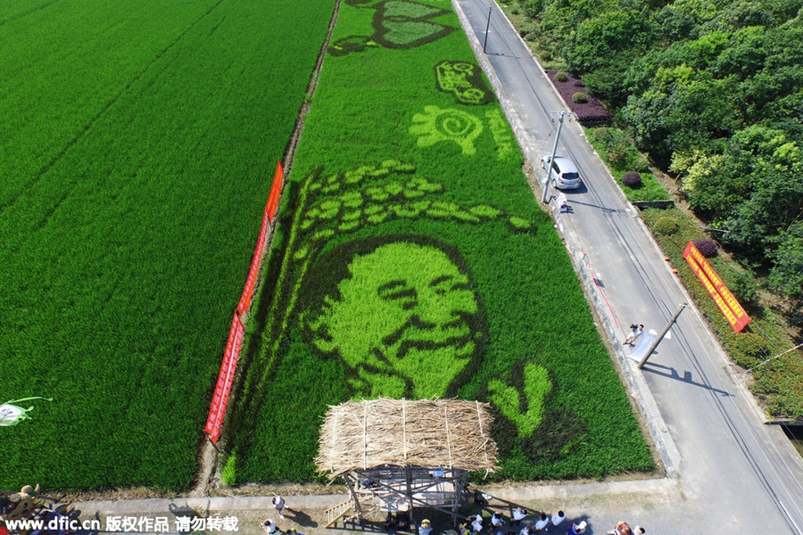 Four-color rice turns paddy field into artwork