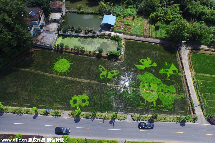 Four-color rice turns paddy field into artwork
