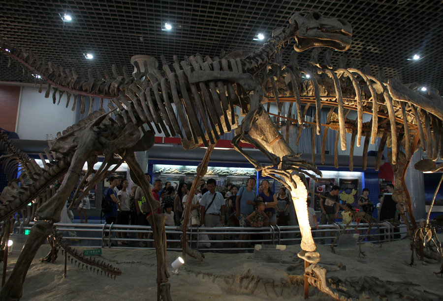 Beijing Museum of Natural History unveils 'Night at the Museum'