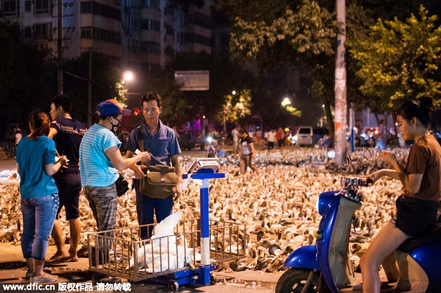 100,000 live ducks sold in Guangxi street to mark Ghost Festival