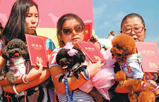 Guangdong residents embrace their pet subject
