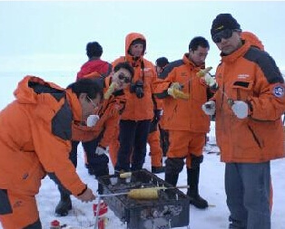 Fat salary, cute penguins...China recruits chef for Antarctic position