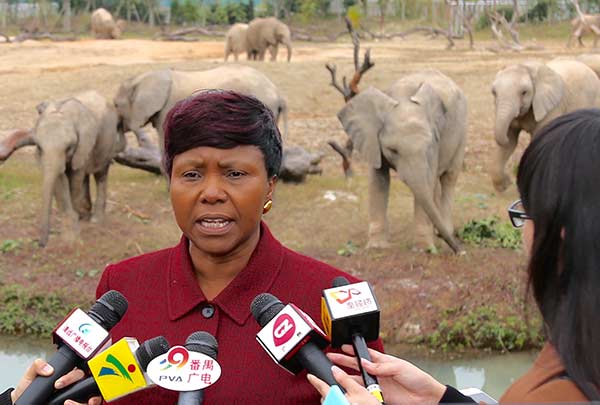 Relocation of wild African elephants to China hailed