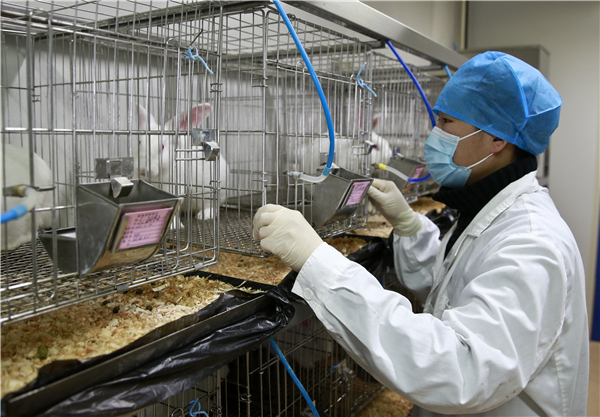 Experts mull introduction of tougher regulations on lab animal welfare