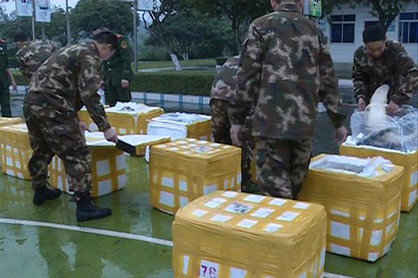 Police seizes 158 crocodiles at China-Vietnam border