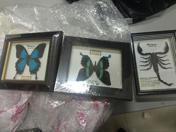 Prohibited specimens seized in Sichuan