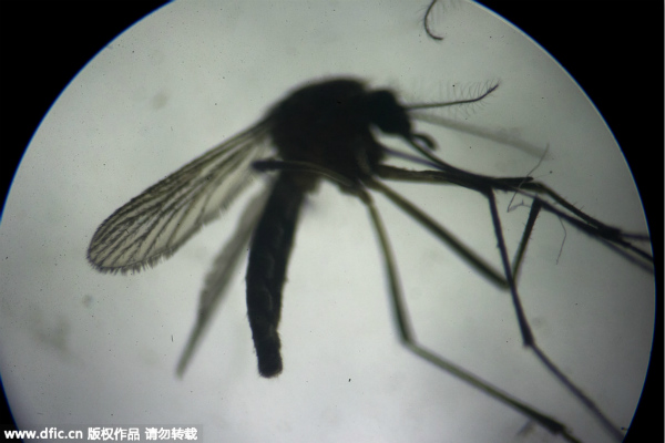 China's border region on Zika alert