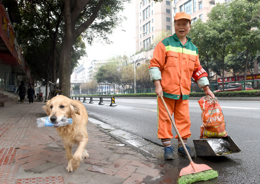 Chengdu's sanitation worker and her dog