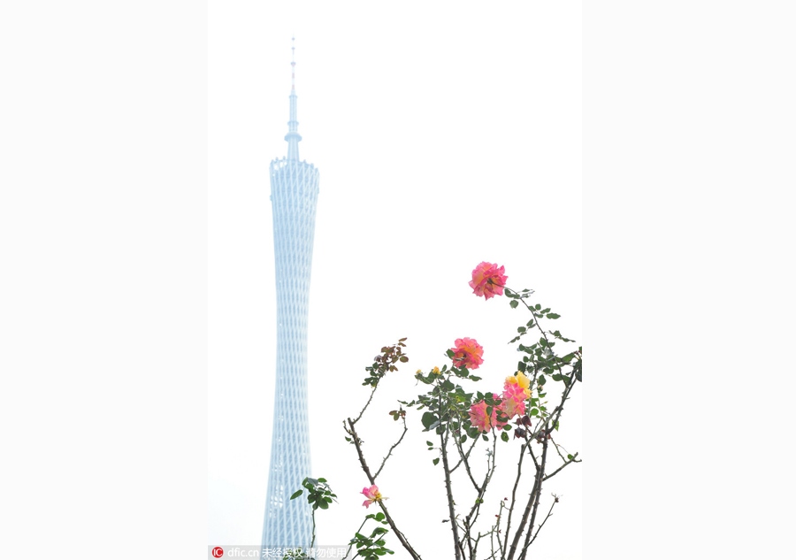Discover beautiful China in Spring blossom (II)