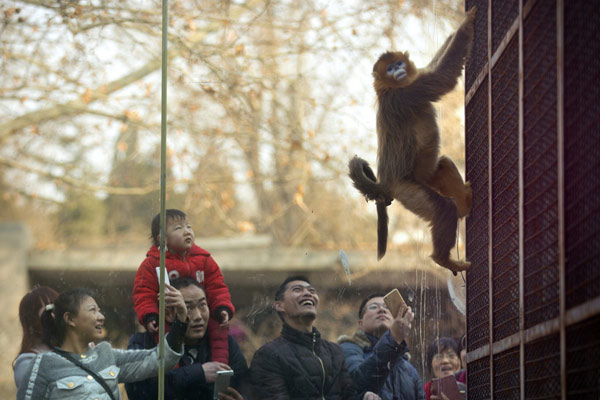 City government considers relocating China's first public zoo