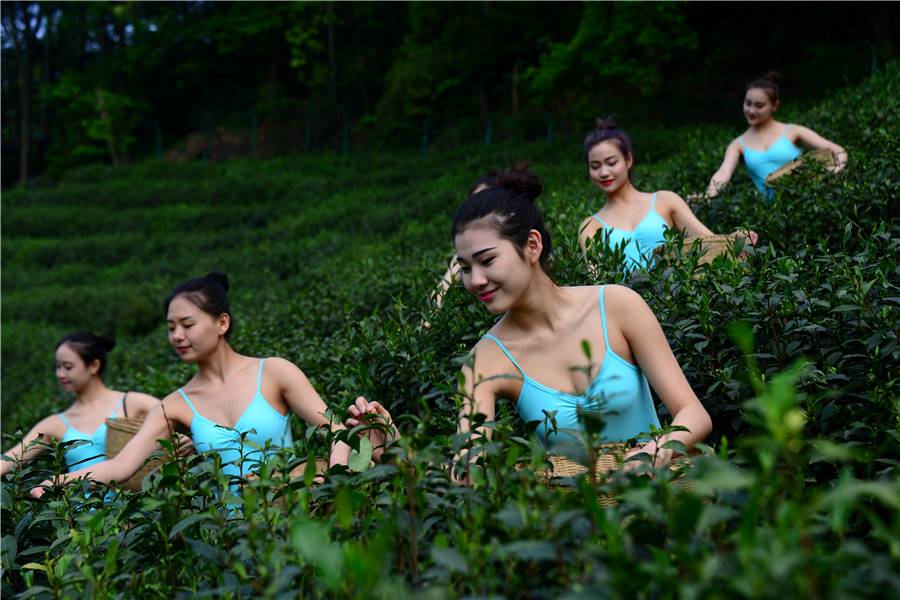 Model contestants show talents in tea garden