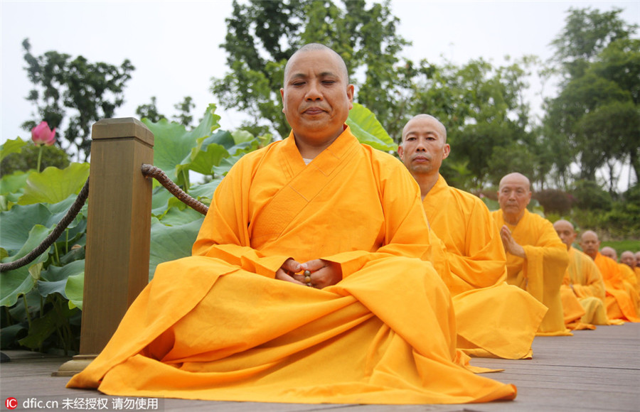 Monks seek tranquility inside lotus ponds