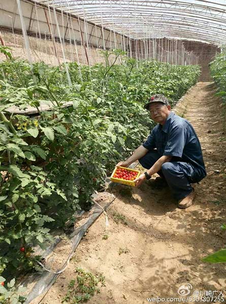 Solitary Japanese farmer devoted to Chinese agriculture