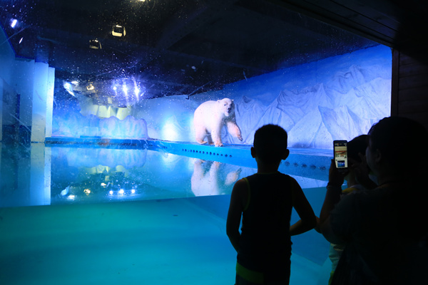 Polar bear gets shopping mall reprieve