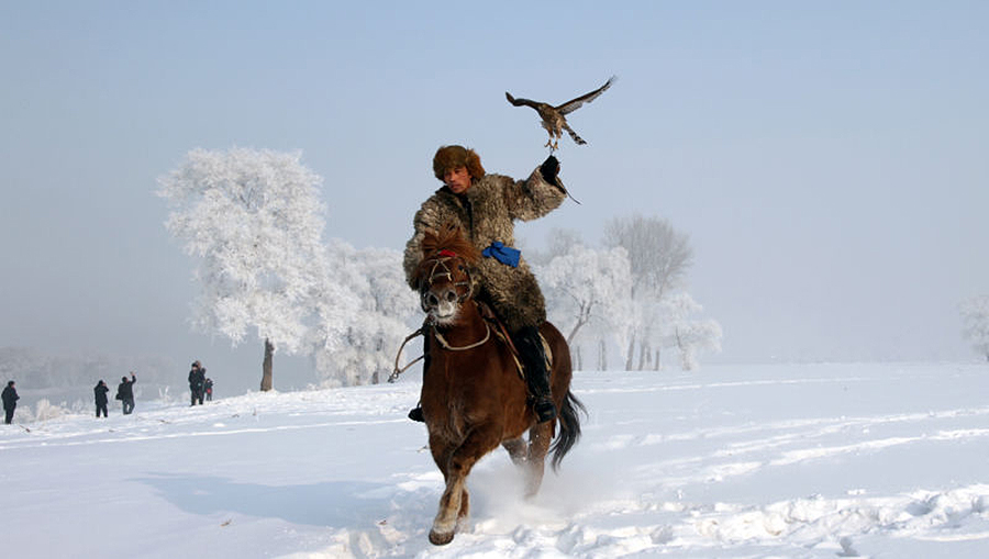 Manchu people find hunting partner in eagles