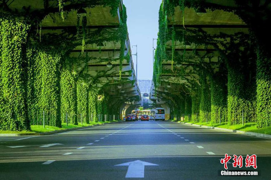 Green bridge a soothing sight in Chengdu