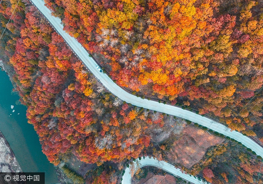 Experience beauty of autumn along the roads