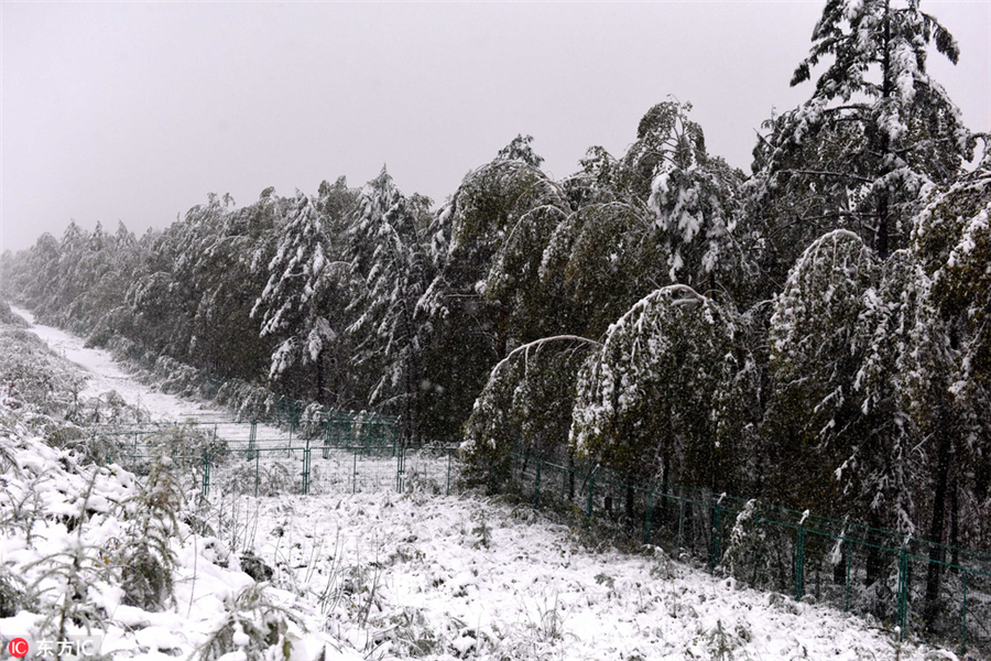 Heilongjiang embraces early snow