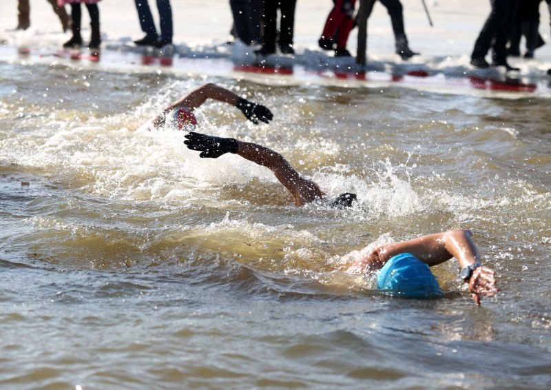 Winter swims offer chance for frozen fun in Harbin