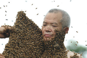 Jiangxi man abuzz over new Guinness bee record