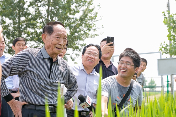 86-year-old scientist aims to revolutionize rice planting