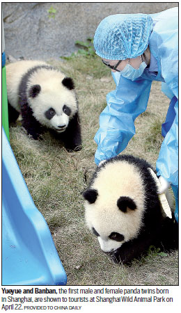 Twin pandas given names