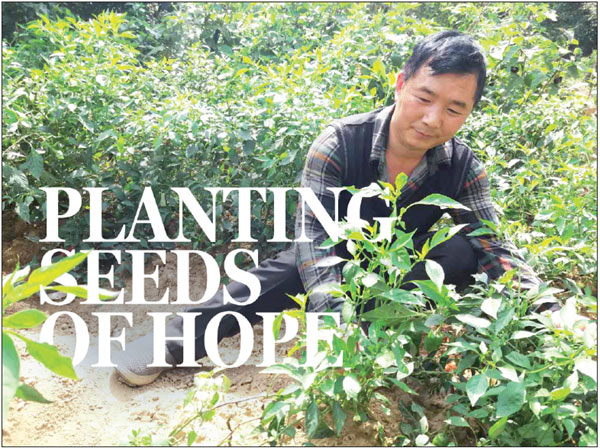 Planting seeds of hope
