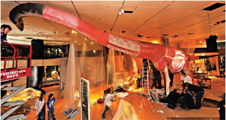 Sauropods, grazing their way to gigantic