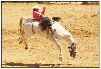 Rodeo to spur desire for wild west culture