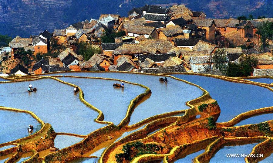 World Heritage: China's Hani Terraces