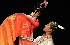 Beijing Opera troupe perform in Brazil
