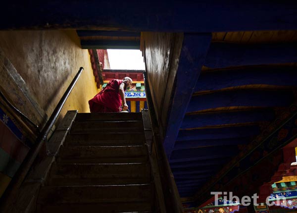 Tibetan monk's life in photographer's eyes