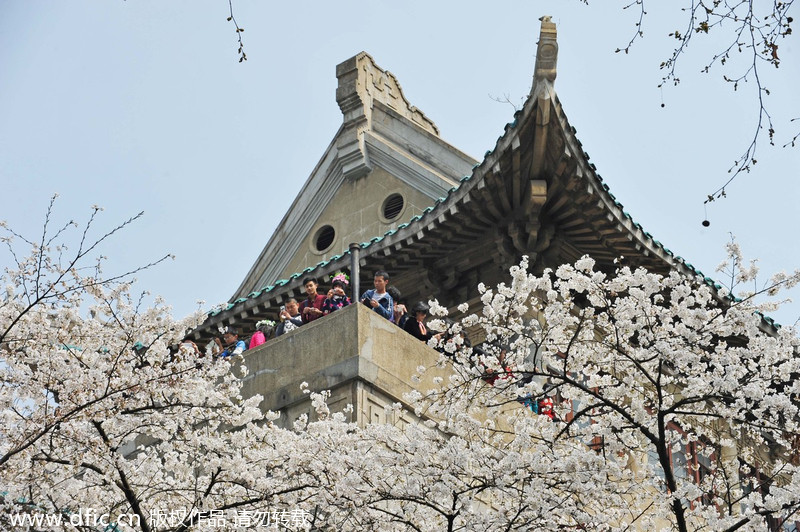 China's prettiest universities