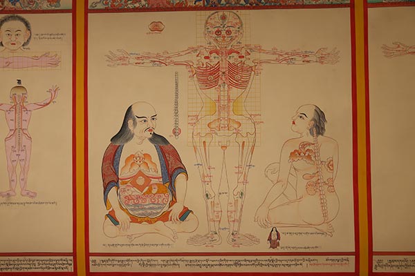 Thangka paintings on Tibetan medicine on display