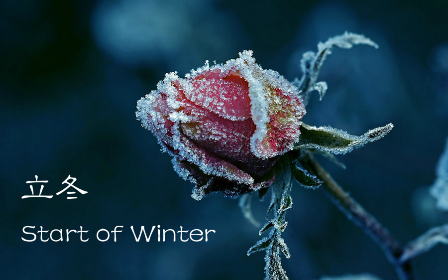 8 things you may not know about Start of Winter