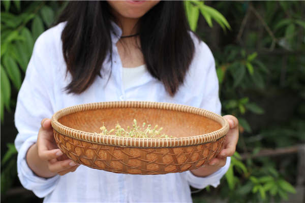 Young entrepreneur eager to revive bamboo culture