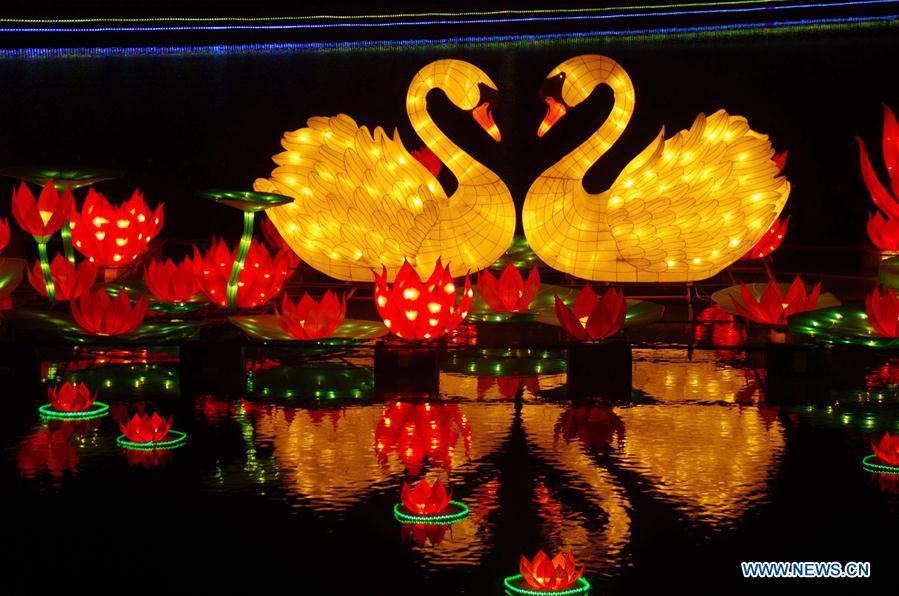 Festival lanterns lit up to greet upcoming Spring Festival in Henan