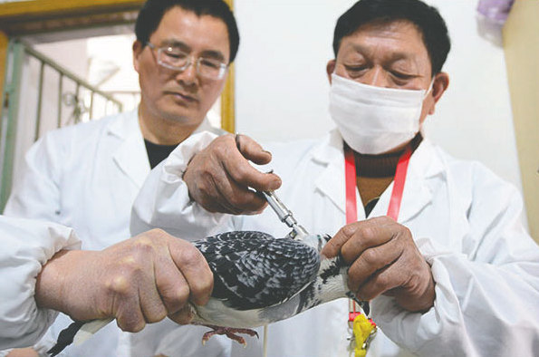 China OKs US-made bird flu drug