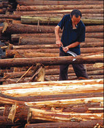States laud lifting of ban on hardwood by China