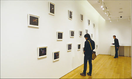 <EM>Life of Pi</EM> artwork on display