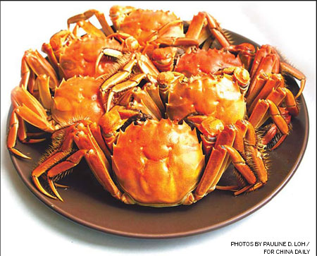Autumn's fat crabs inspire us
