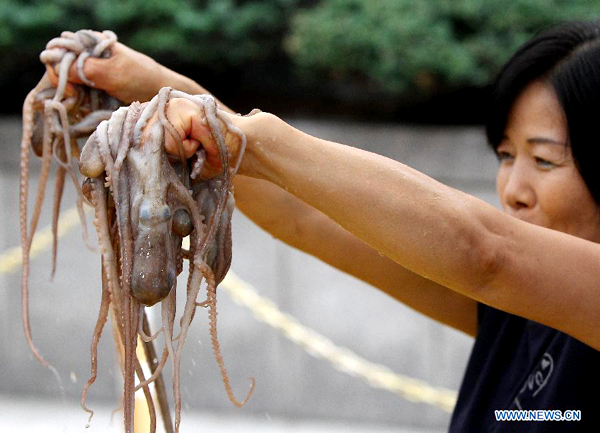 Koreans eat live octopuses during local food festival