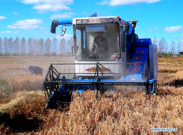 China greets harvest days for autumn crops