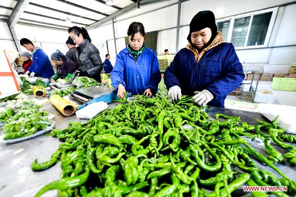China's Qinghai imports vegetables for Spring Festival