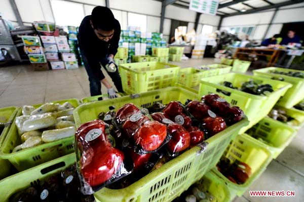 China's Qinghai imports vegetables for Spring Festival