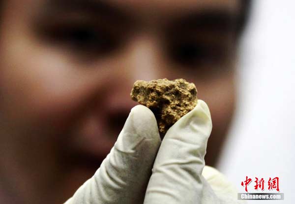 Chinese, German scientists discover world’s oldest cheese